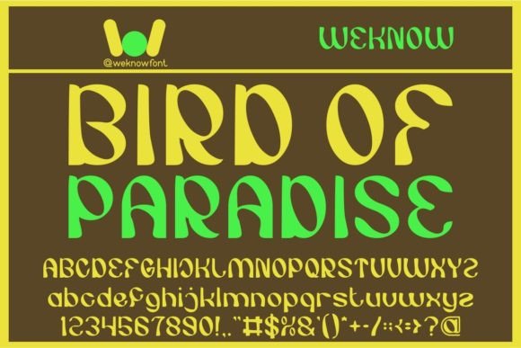 Bird of Paradise: A Bold Display Font for Web Design